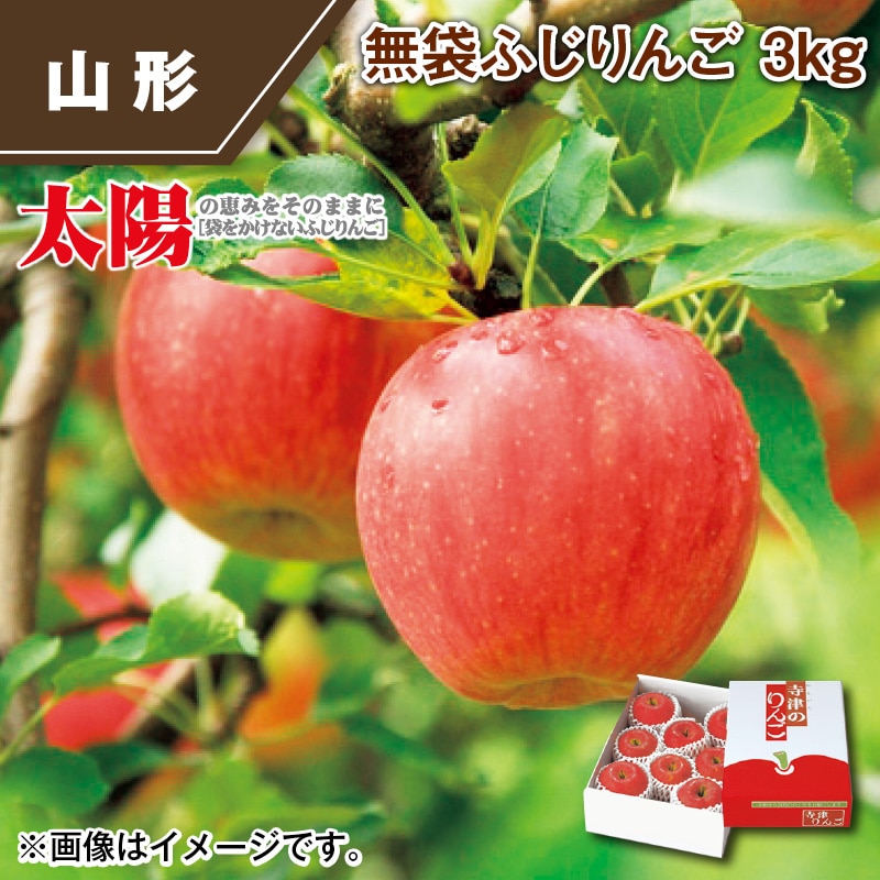 無袋ふじりんご 3ｋｇ 送料込み