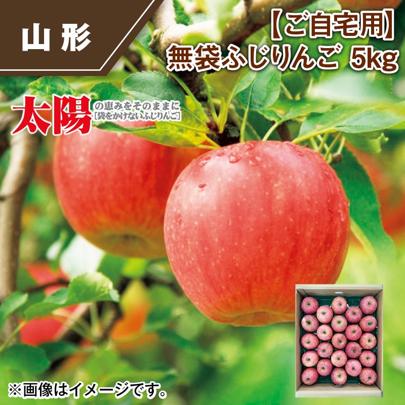 【ご自宅用】無袋ふじりんご 5ｋｇ 送料込み