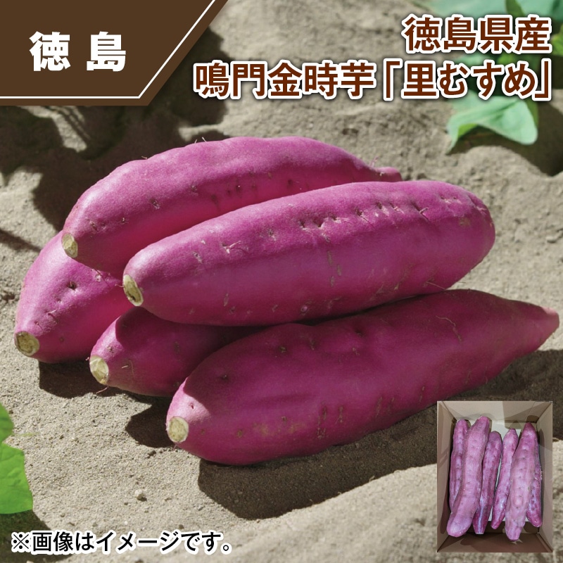 徳島県産 鳴門金時芋「里むすめ」 送料込み