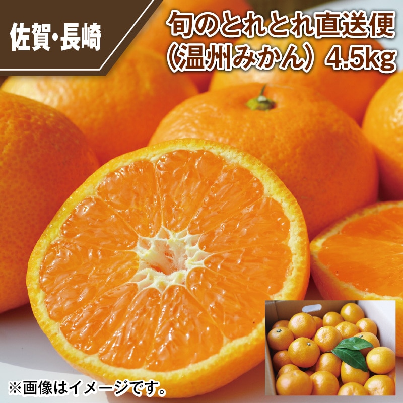 旬のとれとれ直送便（温州みかん） 4．5ｋｇ 送料込み
