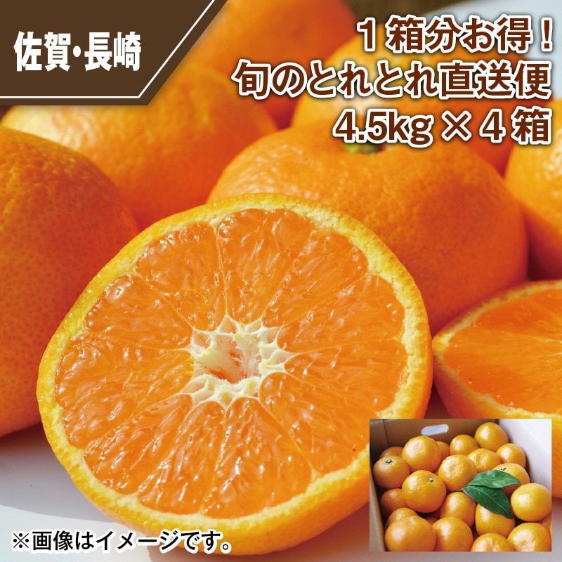 1箱分お得！旬のとれとれ直送便 4．5ｋｇ×4箱 送料込み