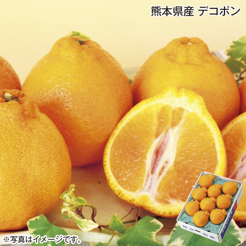 熊本県産 デコポン 送料込み