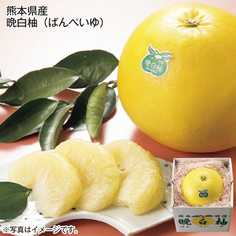 熊本県産 晩白柚 送料込み