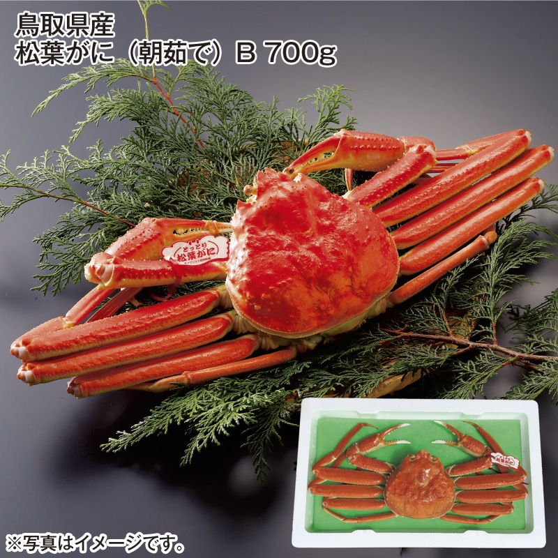 鳥取県産 松葉がに（朝茹で）Ｂ 700ｇ 送料込み