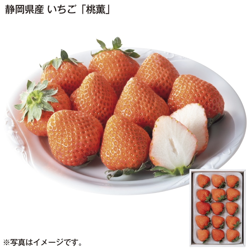 静岡県産 いちご「桃薫」 送料込み