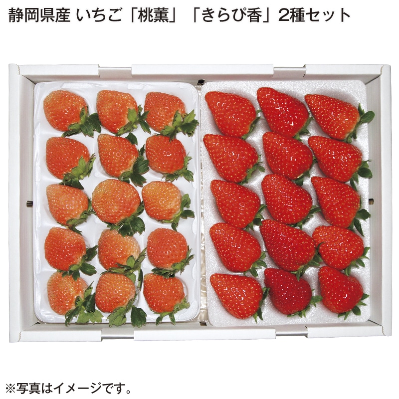 静岡県産 いちご「桃薫」「きらぴ香」2種セット 送料込み