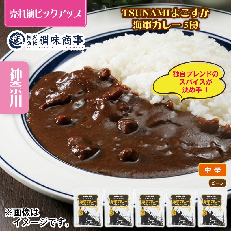 ＴＳＵＮＡＭＩ よこすか海軍カレー 5食 送料込み