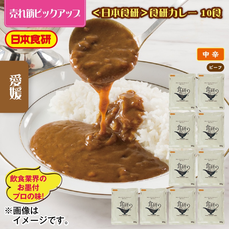 ＜日本食研＞食研カレー 10食 送料込み