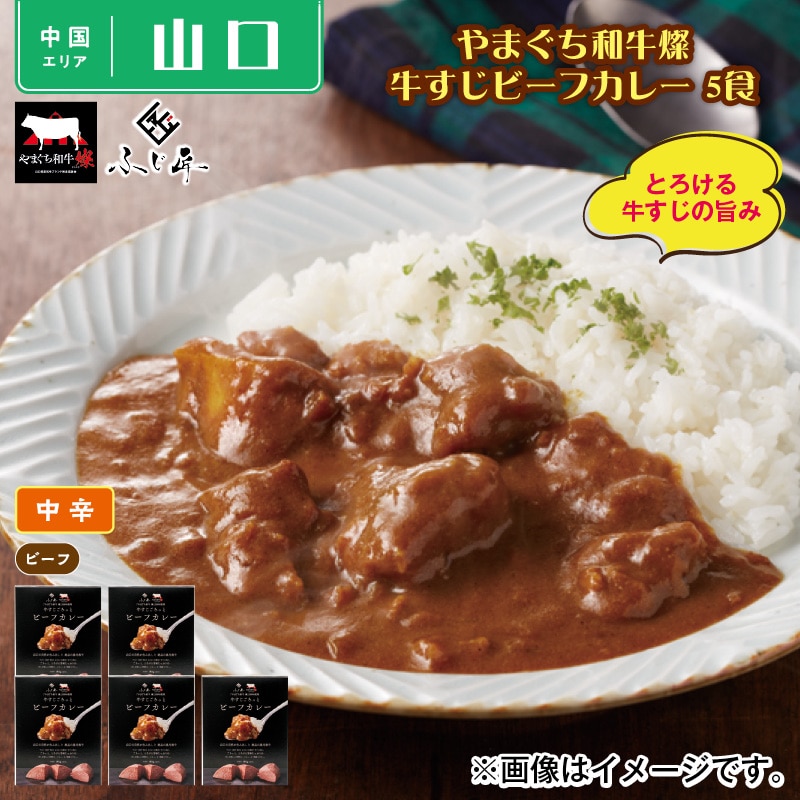 やまぐち和牛燦 牛すじビーフカレー 5食 送料込み