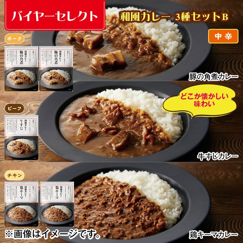 和風カレー 3種セットＢ 送料込み