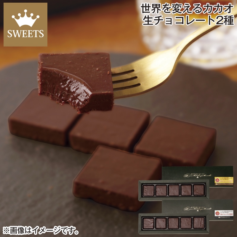 世界を変えるカカオ 生チョコレート2種 送料込み