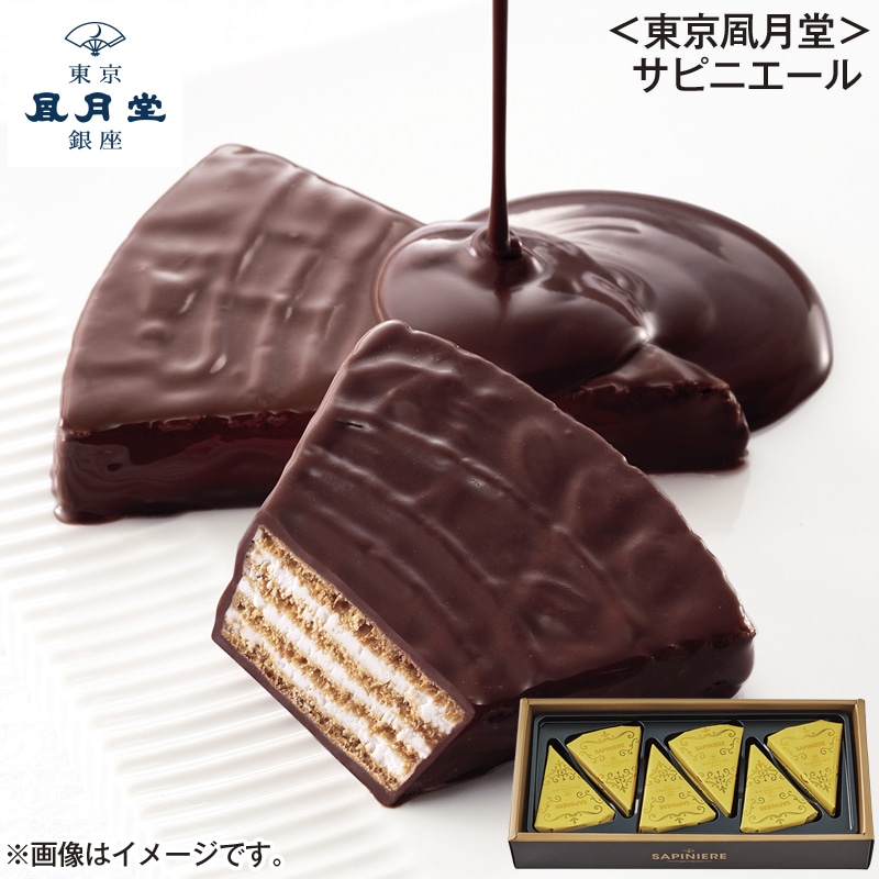 ＜東京風月堂＞サピニエ－ル 送料込み バレンタイン