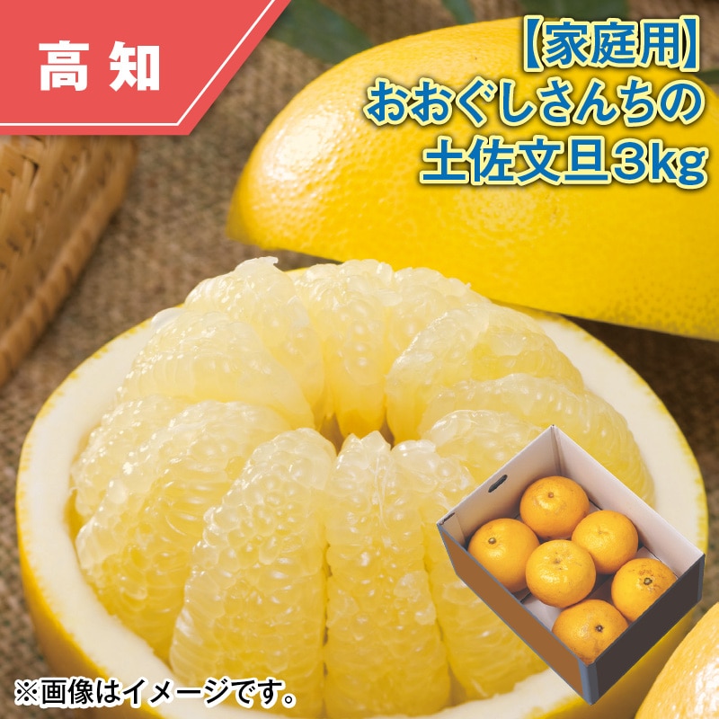 【家庭用】おおぐしさんちの土佐文旦3kg 送料込み