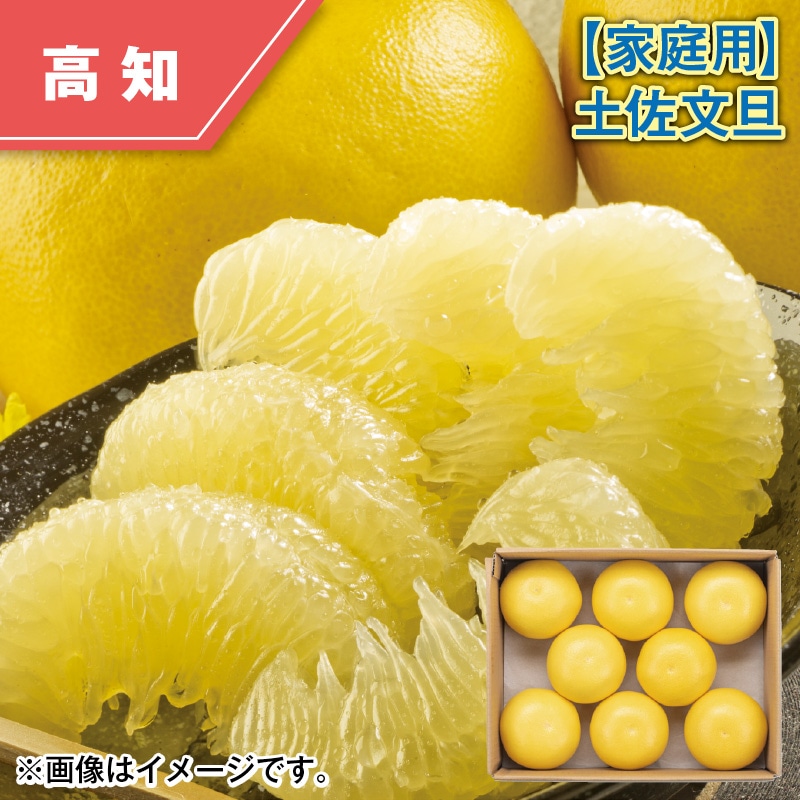 【家庭用】土佐文旦4kg 送料込み