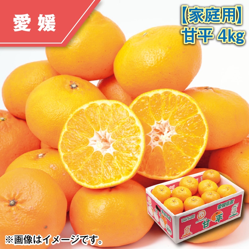【家庭用】甘平4kg 送料込み