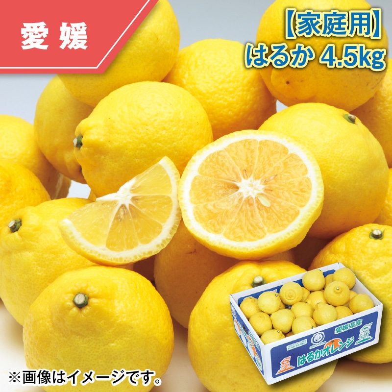 【家庭用】はるか4.5kg 送料込み
