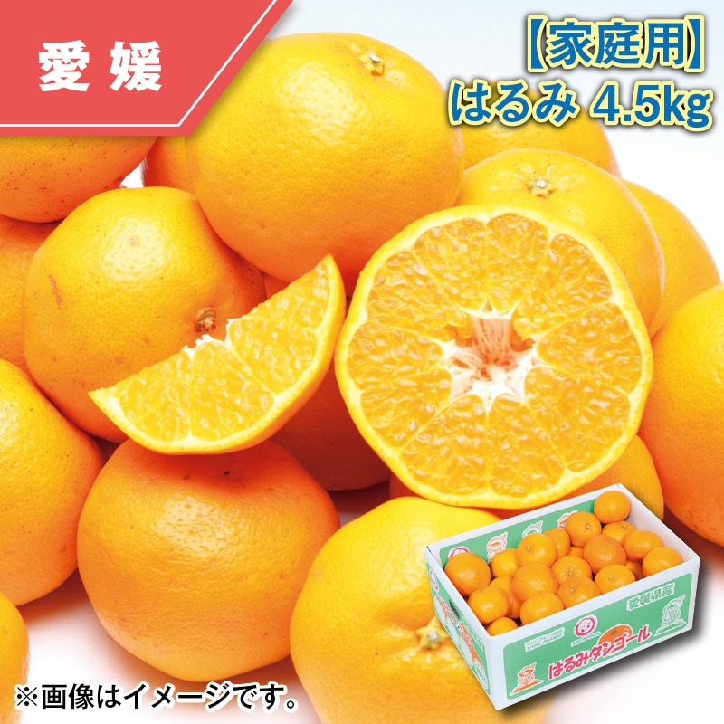 【家庭用】はるみ4.5kg 送料込み