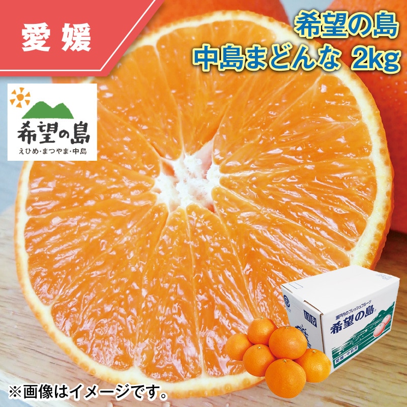 希望の島 中島まどんな 2kg 送料込み