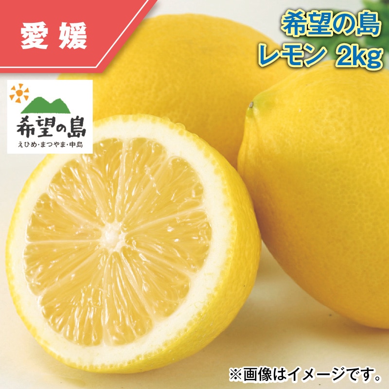 希望の島 レモン 2kg 送料込み