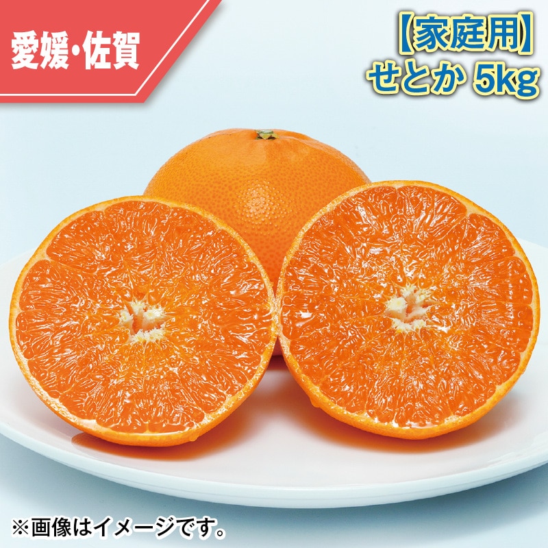 【家庭用】せとか5kg 送料込み