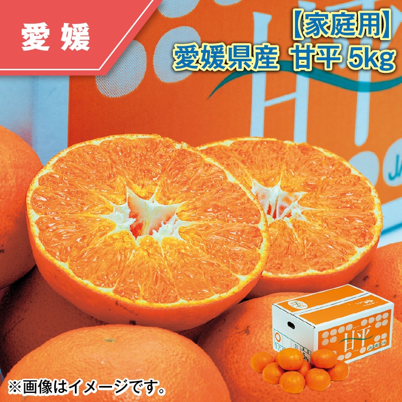 【家庭用】愛媛県産 甘平 5kg 送料込み