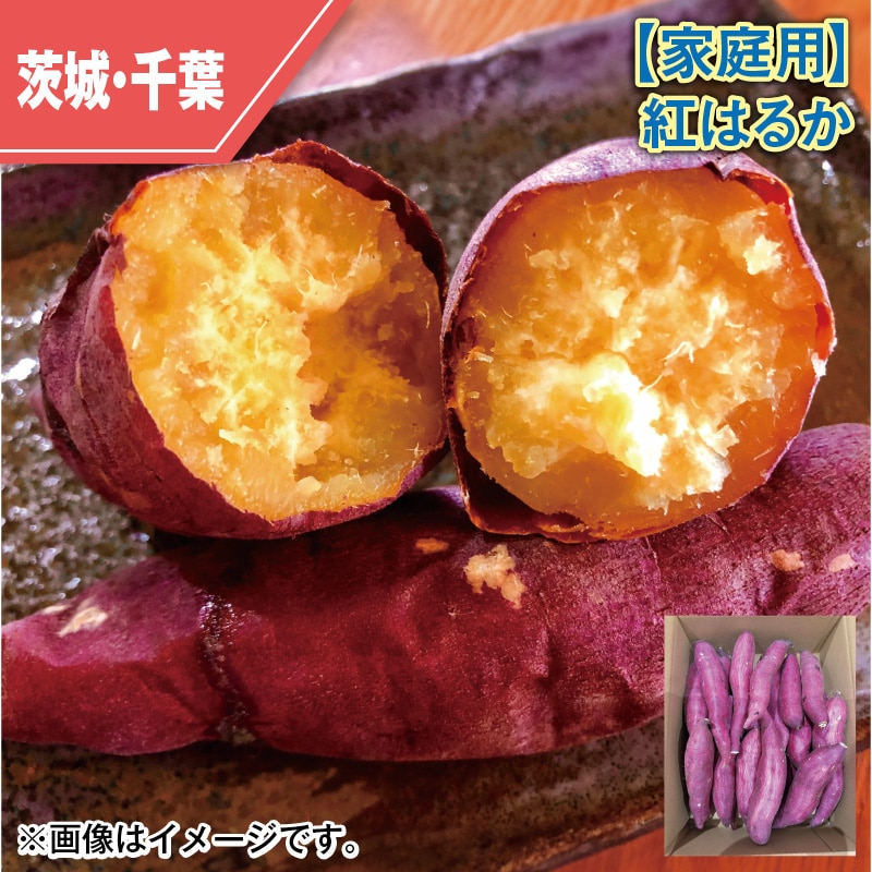 【家庭用】紅はるか 送料込み