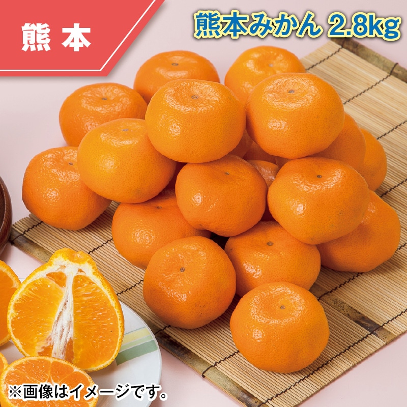 熊本みかん2.8kg 送料込み