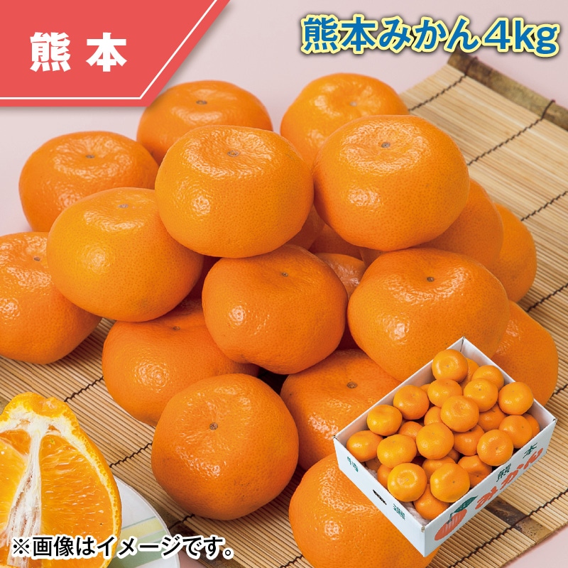 熊本みかん4kg 送料込み