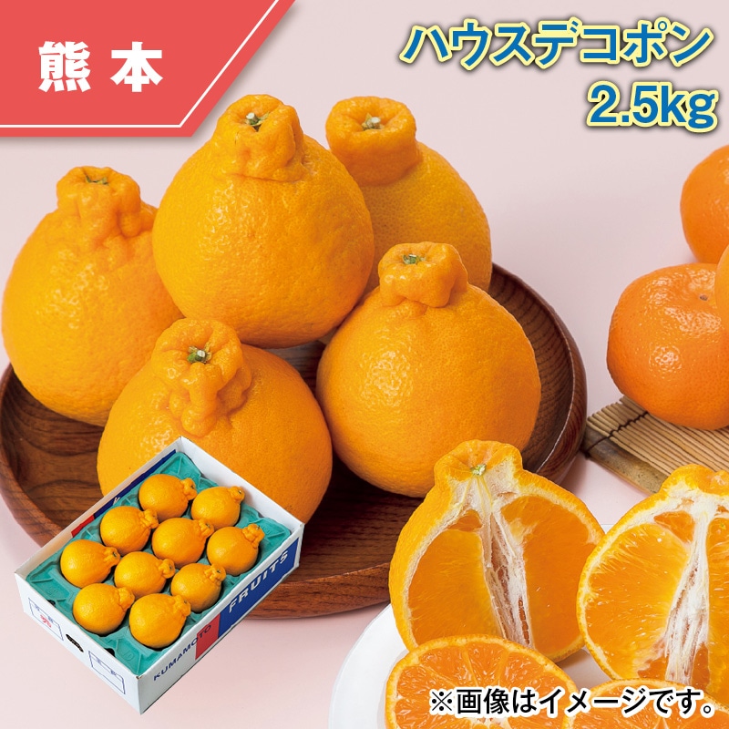 ハウスデコポン2.5kg 送料込み