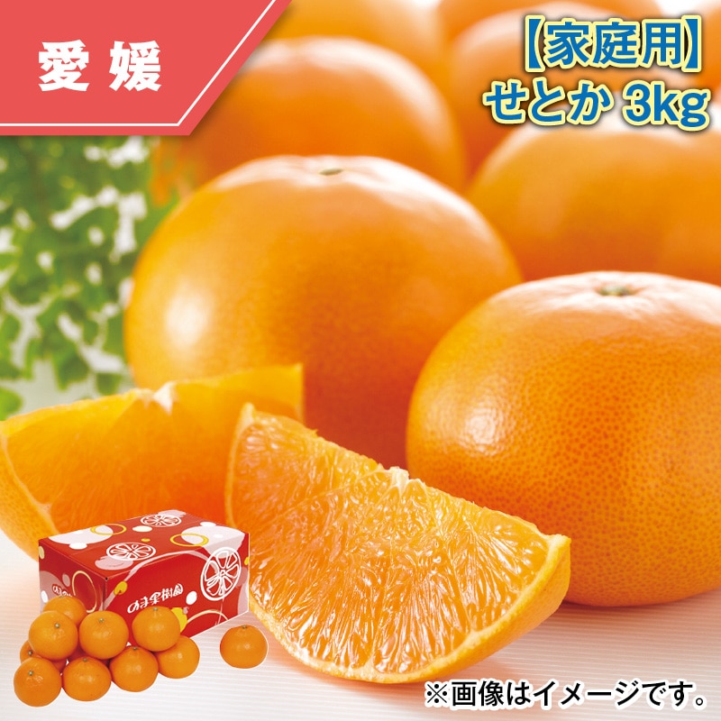 【家庭用】せとか3kg 送料込み
