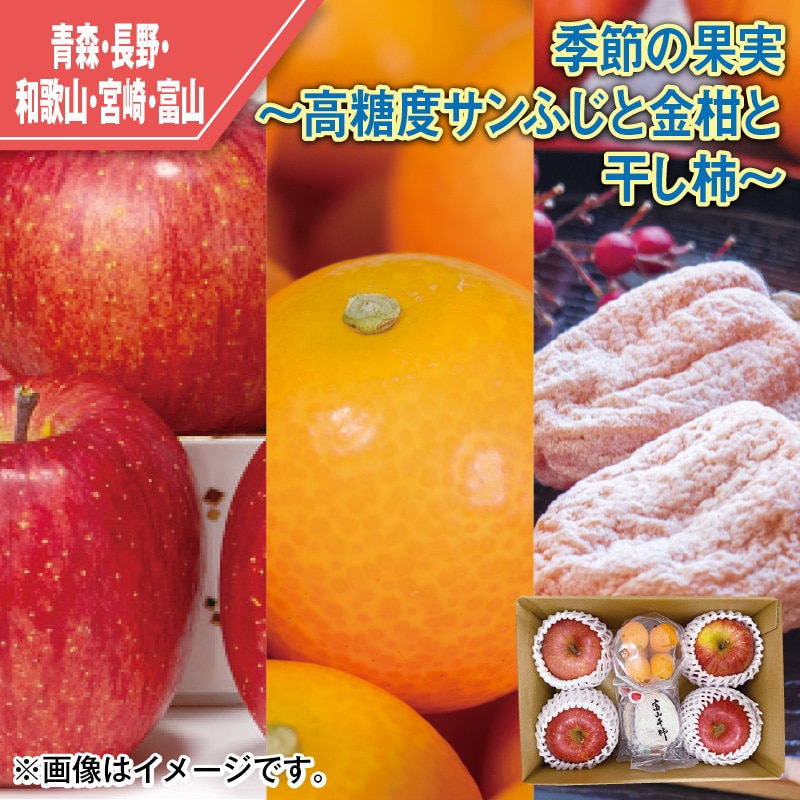 季節の果実~高糖度サンふじと金柑と干し柿~ 送料込み