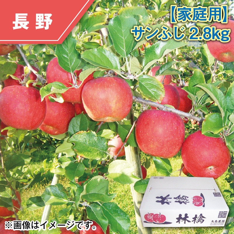 【家庭用】サンふじ2.8kg 送料込み