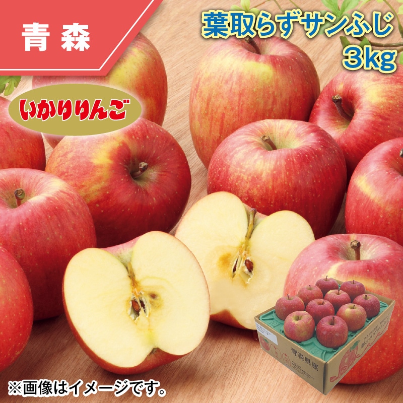葉とらずサンふじ 3kg 送料込み