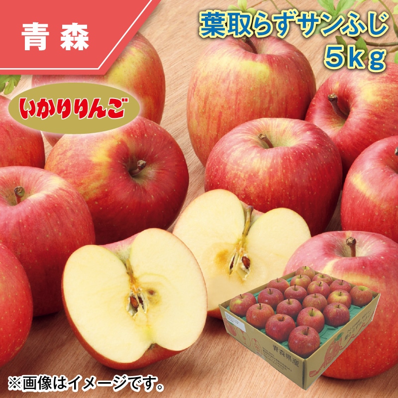 葉とらずサンふじ 5kg 送料込み
