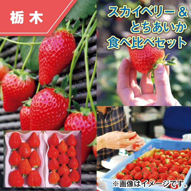 スカイベリー&とちあいか 食べ比べセット 送料込み