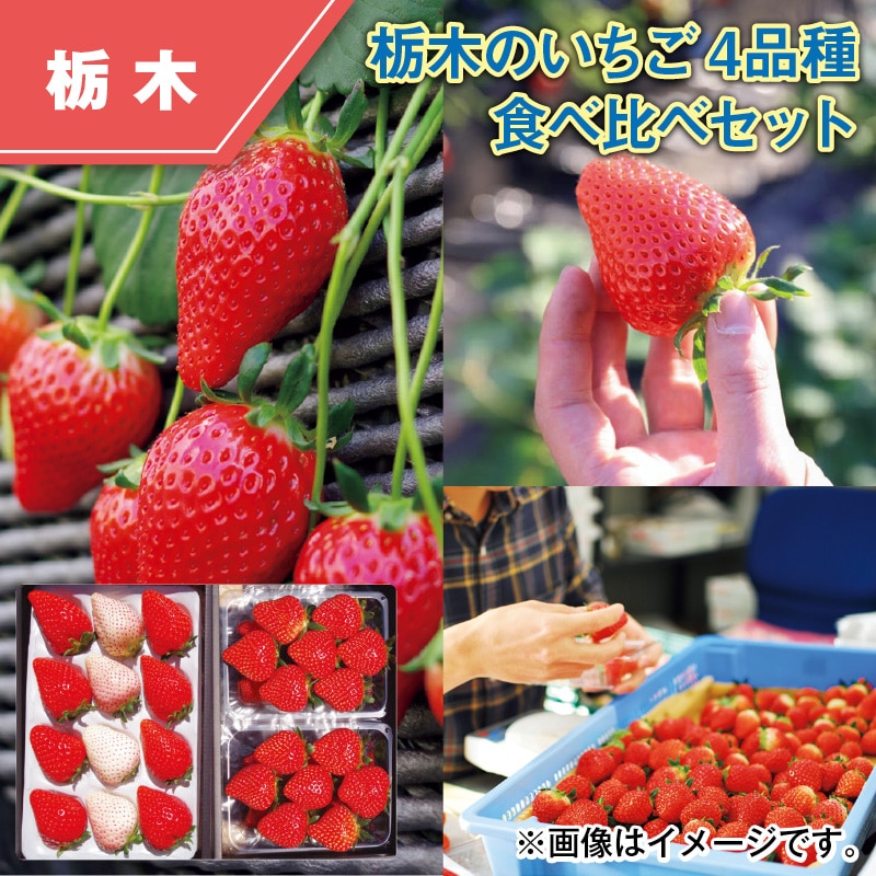 栃木のいちご4品種 食べ比べセット 送料込み