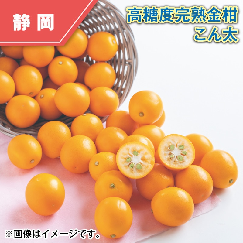 高糖度完熟金柑 こん太 送料込み