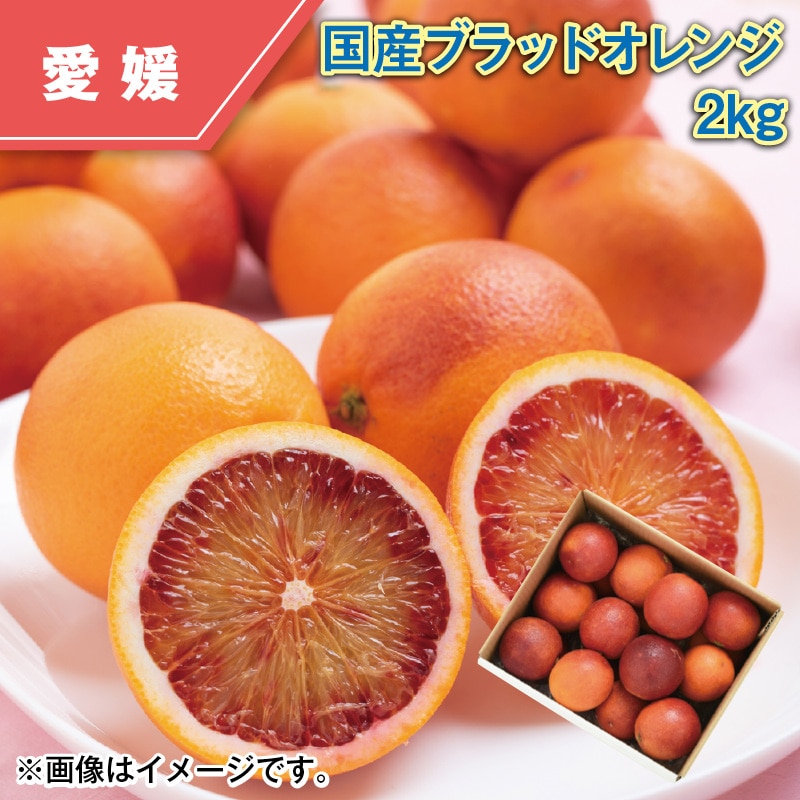 国産ブラッドオレンジ2kg 送料込み