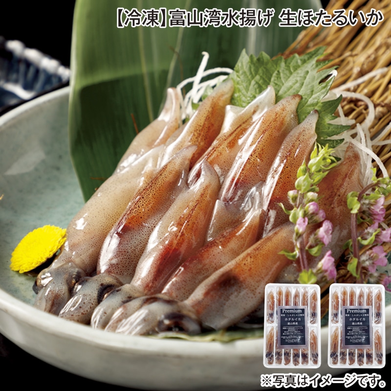 【冷凍】富山湾水揚げ 生ほたるいか 送料込み