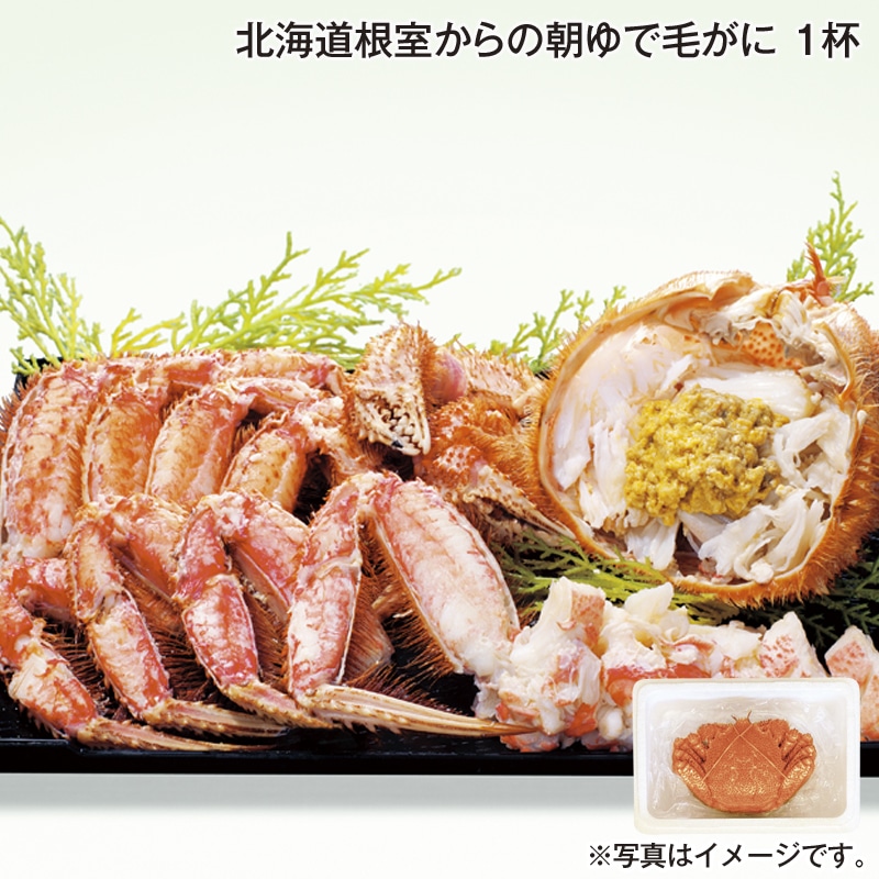 北海道根室からの朝ゆで毛がに 1杯 送料込み