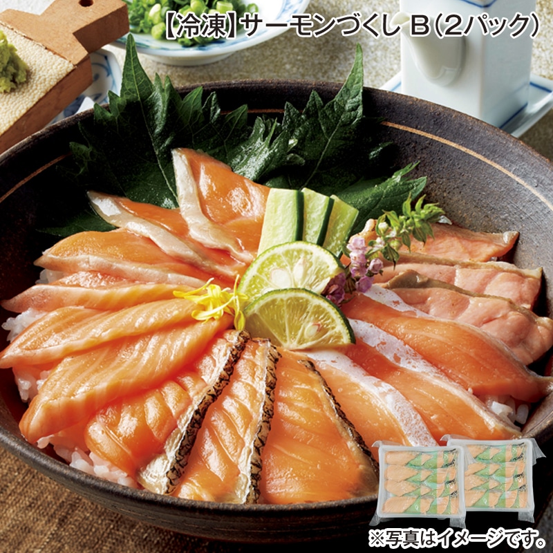 【冷凍】サーモンづくし Ｂ（2パック） 送料込み