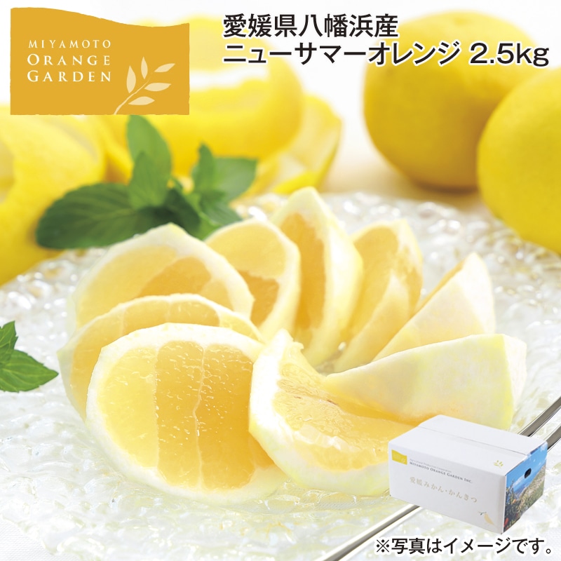 愛媛県八幡浜産 ニューサマーオレンジ 2．5ｋｇ 送料込み