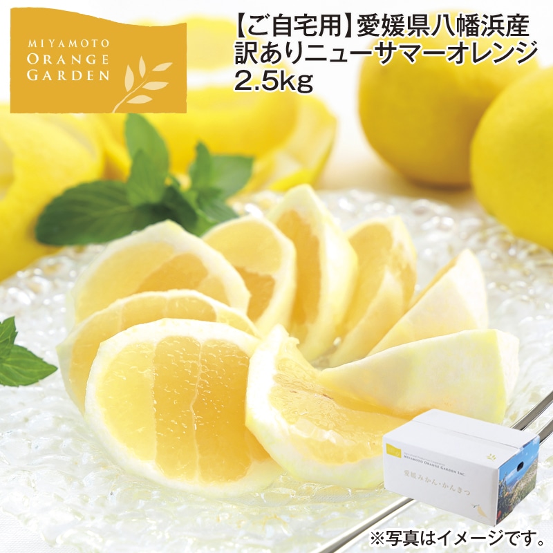 【ご自宅用】愛媛県八幡浜産 訳あり ニューサマーオレンジ 2．5ｋｇ 送料込み