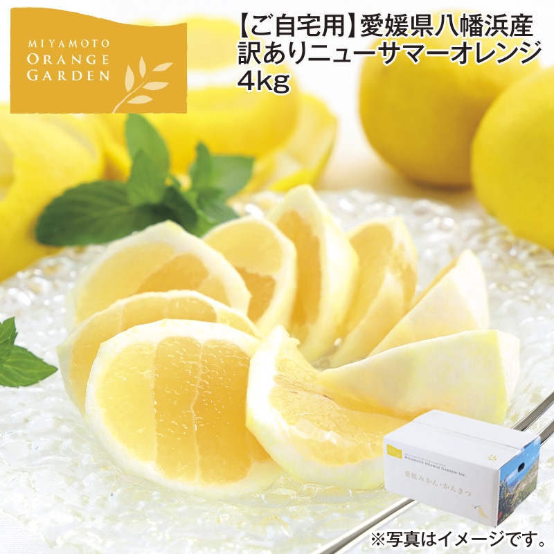 【ご自宅用】愛媛県八幡浜産 訳あり ニューサマーオレンジ 4ｋｇ 送料込み