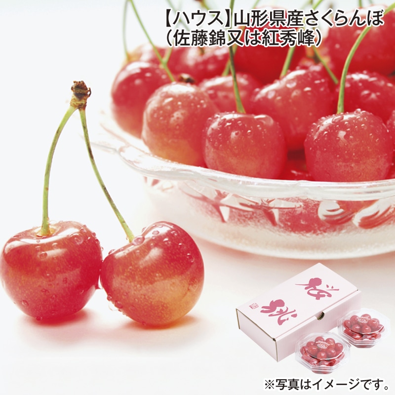 【ハウス】山形県産さくらんぼ（佐藤錦又は紅秀峰） 送料込み