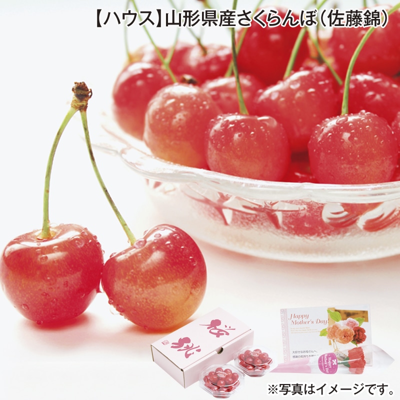 【ハウス】山形県産さくらんぼ（佐藤錦） 送料込み