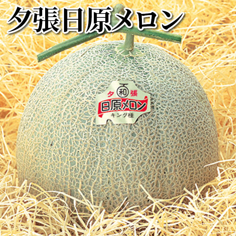 夕張日原メロン 送料込み