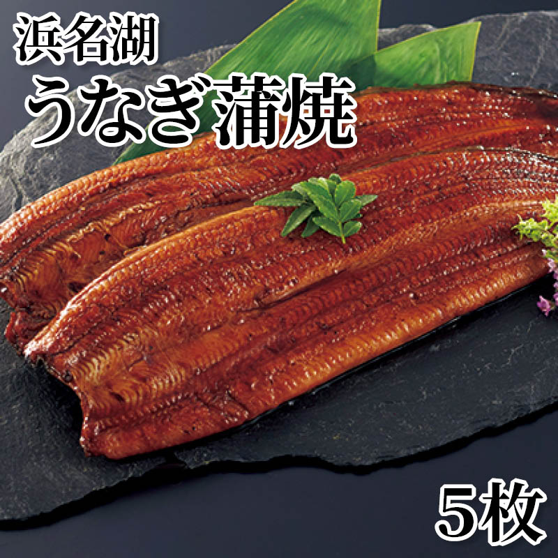 浜名湖うなぎ蒲焼 5枚 送料込み
