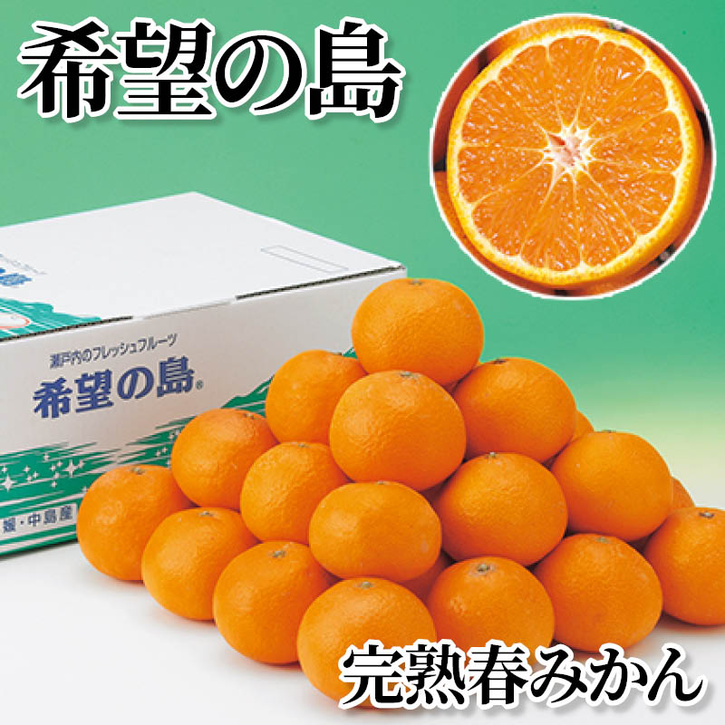 希望の島 完熟春みかん 送料込み