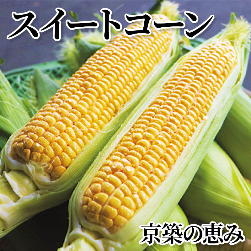 スイートコーン 京築の恵み 送料込み